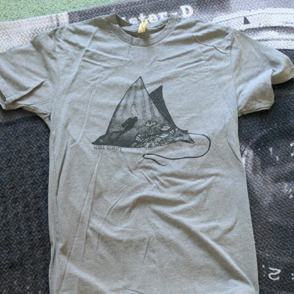 Next Level Apparel Gray Graphic Tee